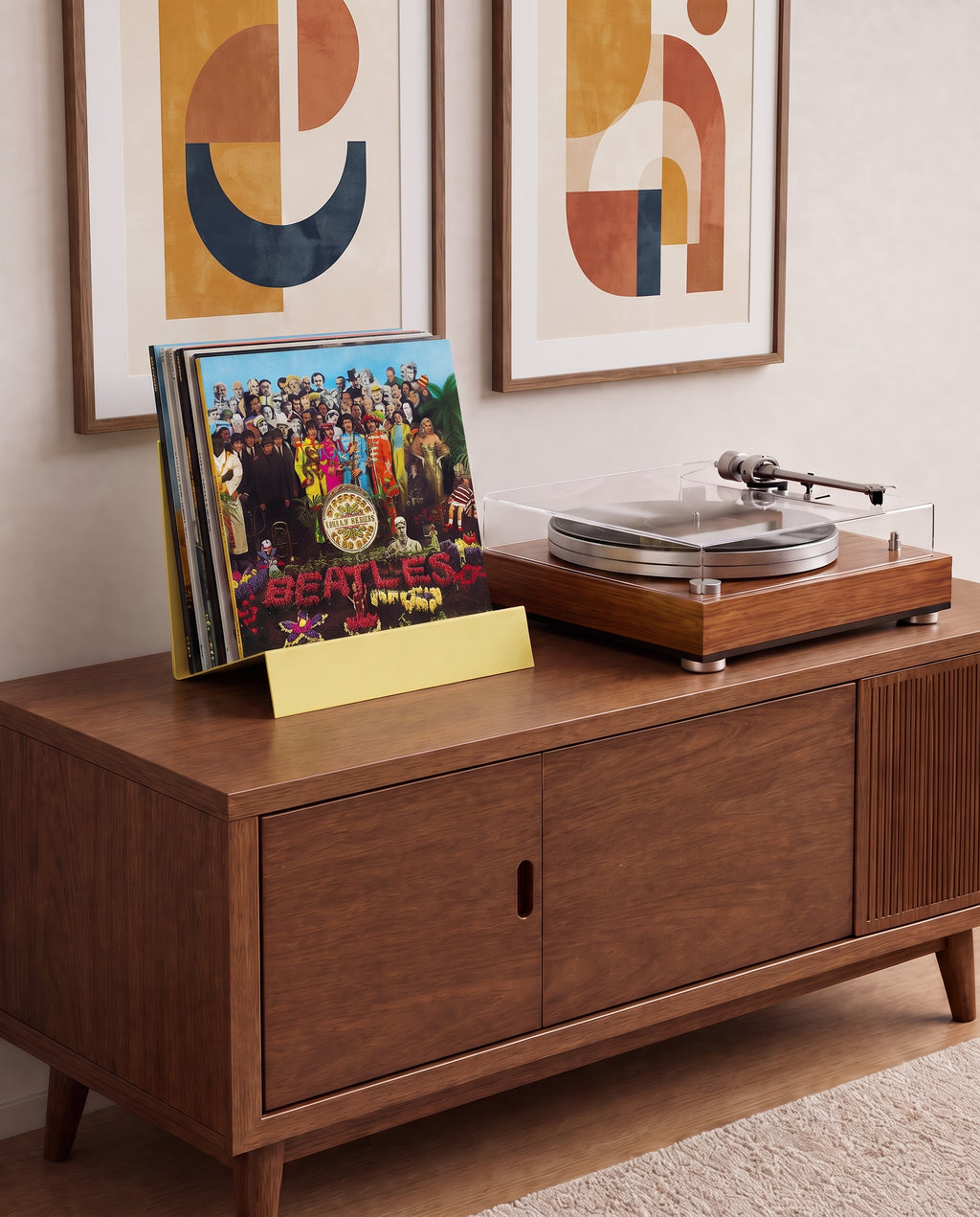 Vinyl Album Holder