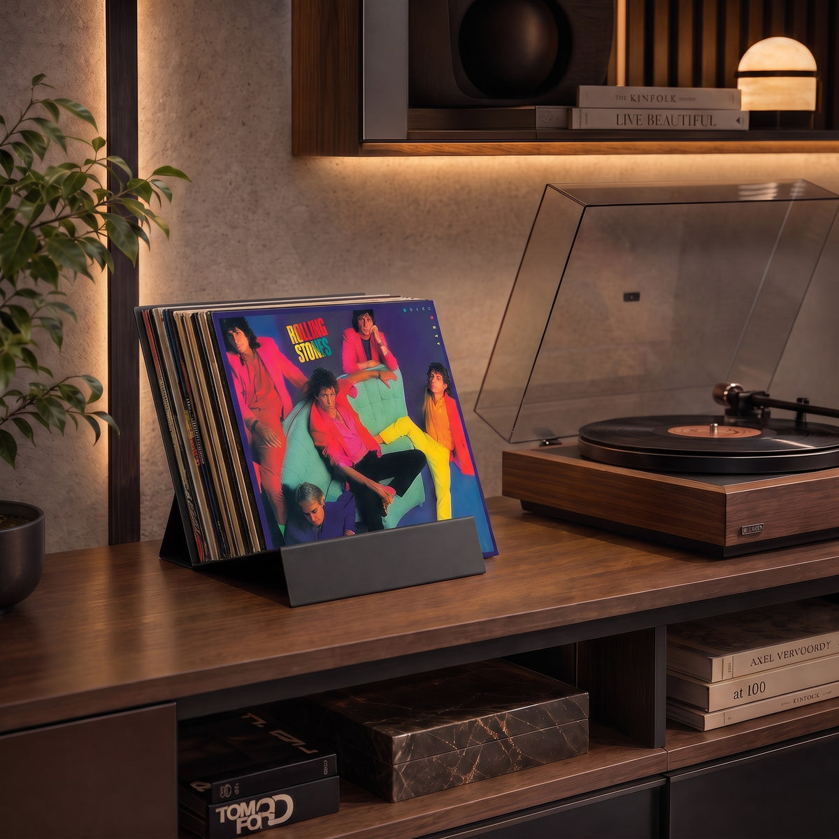 Vinyl Album Holder